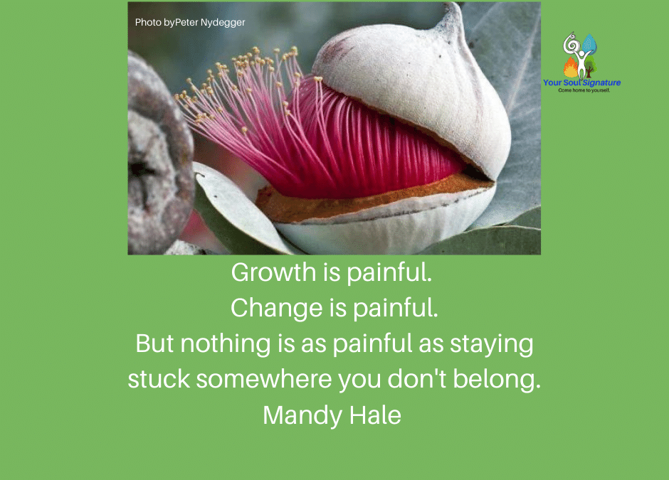 Soul Doorways – Edges, body symptoms and dreams