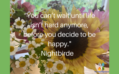 The search for happiness