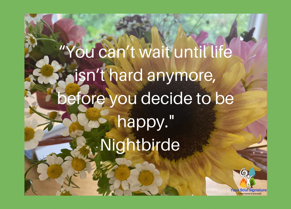 The search for happiness